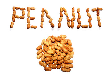 Unpeeled peanuts in a shell texture.