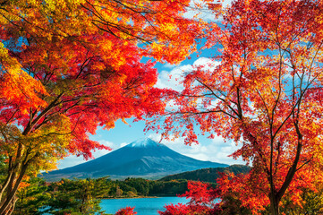Mount Fuji with colorful leaves as foreground