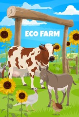 Eco farm, agriculture farming and gardening, cattle field, vector modern village field. Organic green farming, farmland vegetable harvest and cow livestock pasture, chicken, goose and turkey poultry