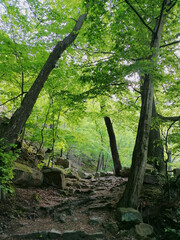 Hiking trail in the Bodetal near Thale, Germany