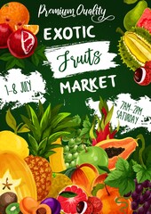 Tropical fruits, farm food exotic garden fruits, vector papaya, peach and apple. Tropical fruits farm market orange and pineapple, mango and exotic durian, figs and lychee, pomegranate and grapes