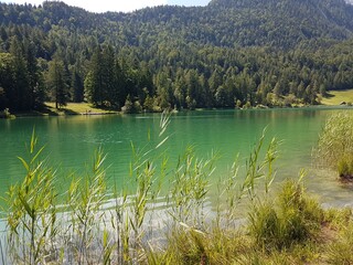 Alpensee