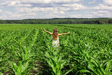 A girl in a green dress is walking in a cornfield. Sunny day in the fields of Belarus. Green stalks of corn.
