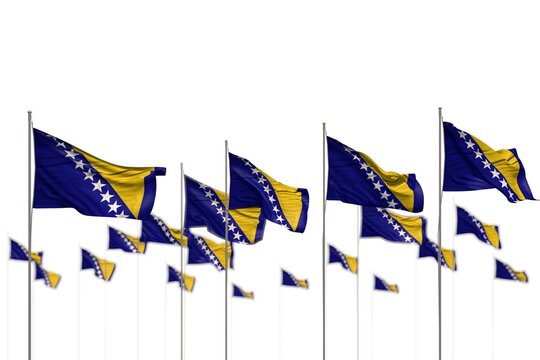 beautiful Bosnia and Herzegovina isolated flags placed in row with soft focus and place for your content - any feast flag 3d illustration..