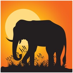 silhouette of elephant
