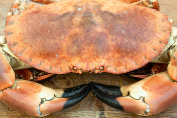freshly cooked crabs on a wooden chopping board