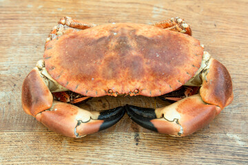 freshly cooked crabs on a wooden chopping board