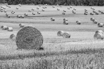 Strohballen in Sachsen