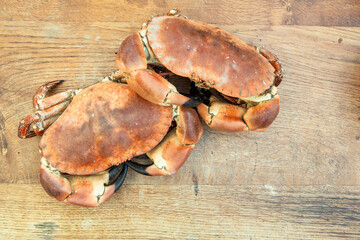 freshly cooked crabs on a wooden chopping board