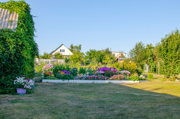 garden landscape with flowers and fruit trees
