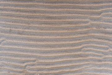 The waves of sand on the beach.