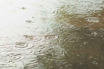 Fototapeta Kropli deszczu spadający się na kałuże  obraz