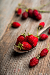 Red ripe wild strawberry in old vintage spoon on the rustic background. Selective focus. Shallow depth of field. 