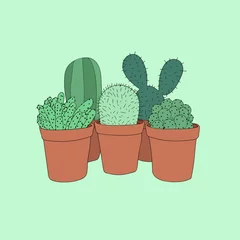 Foto op Plexiglas Cactus in pot Cacti