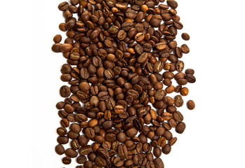 Coffee beans isolated on background with copyspace for text