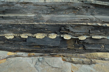 Rock layers - a colorful formations of rocks stacked over the hundreds of years. Interesting background with fascinating texture.