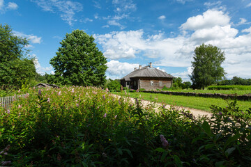 Fototapeta na wymiar Rural landscape with the wooden house in the field on a sunny day. Horizontal image.