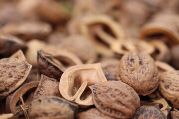 沢山のクルミの殻
A lot of walnut shells.