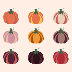 Flat pumpkin set isolated vector illustration. Graphic design element. Cartoon food collection for thanksgiving day. Fall celebration.