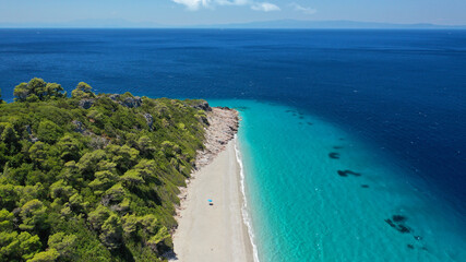 Aerial drone panoramic photo of famous turquoise paradise beach of Milia covered with pine trees, Skopelos island, Sporades, Greece