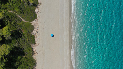 Aerial drone panoramic photo of famous turquoise paradise beach of Milia covered with pine trees, Skopelos island, Sporades, Greece