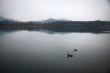 Obraz na płótnie Canvas misty morning on the lake
