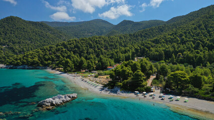 Fototapeta na wymiar Aerial drone panoramic photo of famous turquoise paradise beach of Milia covered with pine trees, Skopelos island, Sporades, Greece