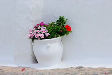 maceta blanca con flores estilo mediterraneo