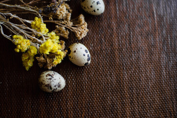 Obraz premium quail egg