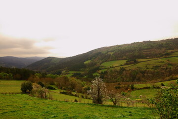 paisaje de montaña tipico de galicia