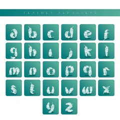feather alphabets