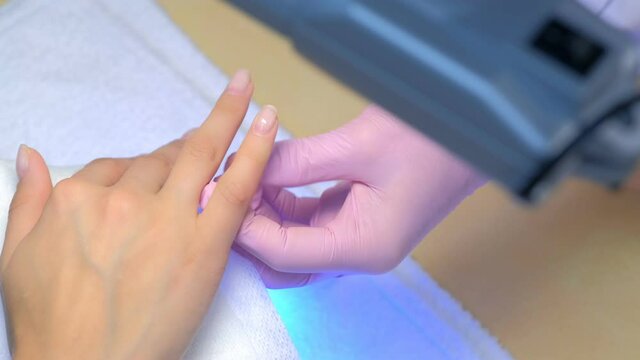 Manicurist master is painting nails for client woman gel shellac using brush in beauty salon clinic, hands closeup. Manicurist in gloves making manicure.