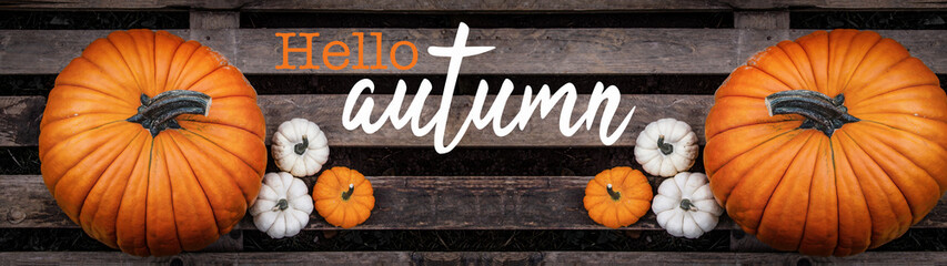 Hello / happy autumn background banner panorama - Top view from different autumnal orange and white...