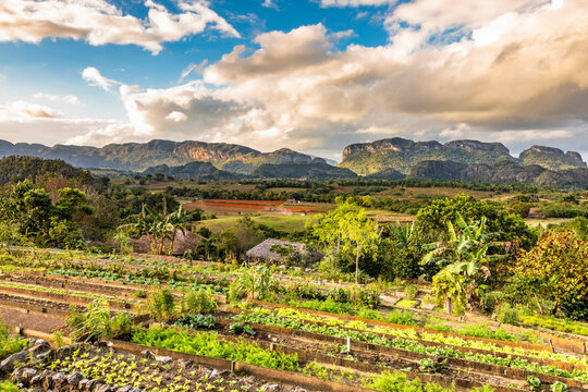 Vinales, Pinar del Rio province, Cuba