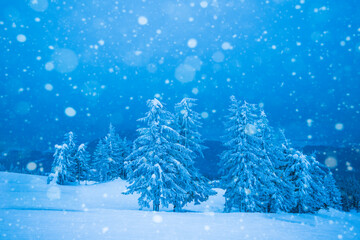 Fascinating cold landscape of the snowy sea