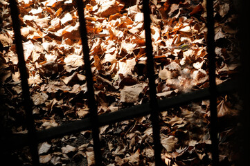 serve a sentence in imprisonment