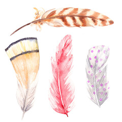 Set of hand drawn watercolor bird feathers. Isolated on white background.