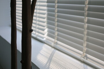 close up of a window