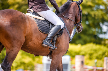 Detail of horse during horse showjumping competition. Close up photo of horse accesories, saddle, bridle, stirrups.