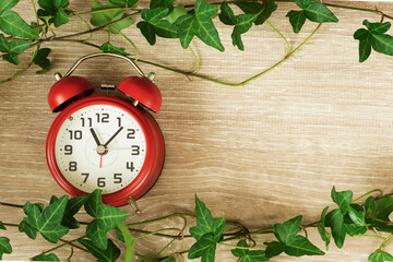 Green plant and clock.  Nature and time. 　緑の植物と時計。　自然と時間