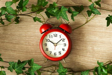 Green plant and clock.  Nature and time. 　緑の植物と時計。　自然と時間