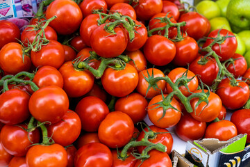 Tomates en rama expuestos en una frutería al aire libre con luz natural del día a la sombra