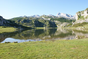 Fototapeta na wymiar Lagos de covadonga en los Picos de Europa