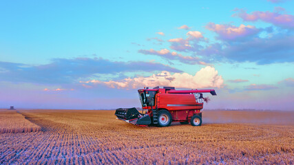 Harvesting grain in the field. Bright, morning, summer landscape with a combine harvester.