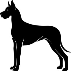 Simple Vector of Great Dane Dog - obrazy, fototapety, plakaty