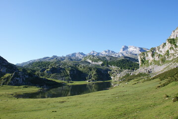 Fototapeta premium Lagos de covadonga en los Picos de Europa