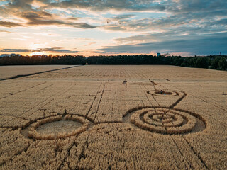 Mysterious crop circle in oat field near the city at the evening sunset © Mulderphoto