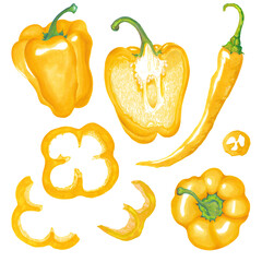Watercolor illustration of red, yellow, green, paprika bell pepper chili pepper with leaves.  Fresh. Isolated on white.
