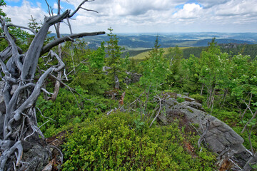 Krajobraz Szklarskiej Poręby © Rafal