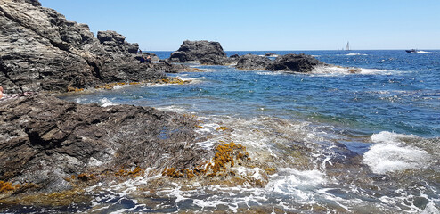 Landscape in the Petit Gaou island, Var, South of France